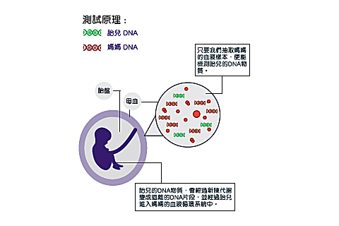 香港基因检测